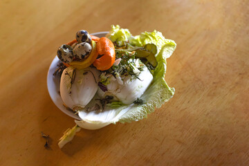 food waste, composting organic waste