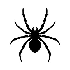 Silhouette of a spider in a dynamic pose