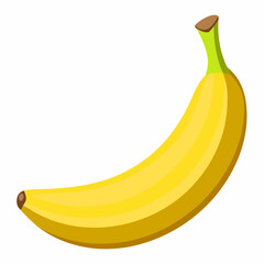 Banana fruit white background 