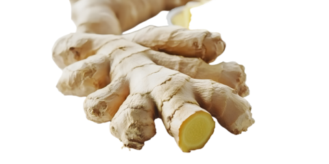 Fresh Ginger Root. Culinary Ingredient And Herbal Remedy For Health Benefits Isolated On Transparent Background