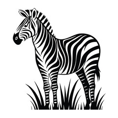 Black and White Zebra Standing Tall in Grass, Detailed Striped Pattern, Animal Clipart