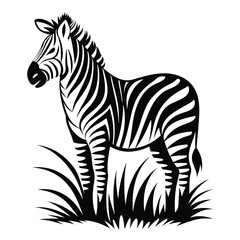 Zebra Silhouette Black Stripes on White Background, Standing in Tall Grass