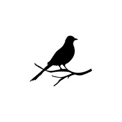 Bird perched on a branch. Vector illustration 