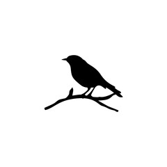 Bird perched on a branch. Vector illustration 