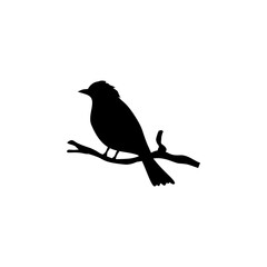 Bird perched on a branch. Vector illustration 