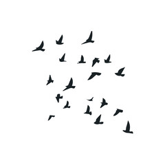 silhouette birds flying graphics