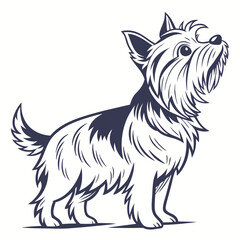 Yorkshire Terrier Standing | Puppy Dog Looking Up | Cute Pet Outline | Dog Breed