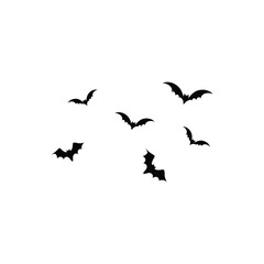 flying bird silhouettes collection