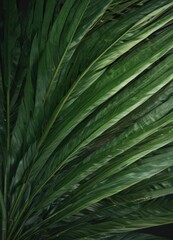 Deep emerald green palm leaf, textured surface ,  pattern,  leaf