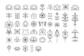 Collection of minimalist line art floral designs.