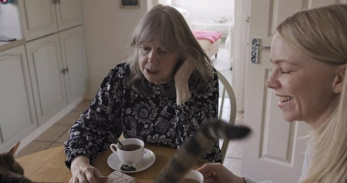 Cat, grandma and woman with coffee in home on table enjoying espresso, cappuccino or caffeine. Pet, tea and old mother and daughter drinking delicious hot beverage, talking or spending time together.