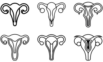 Minimal Uterus Line Art Icons Set for Reproductive Health and Feminine Anatomy