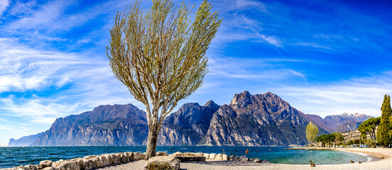 Morning light illuminates two trees by the serene lakeside with mountains in the background