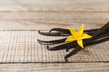 Vanilla pods on a textured background. Vanilla flowers and seeds. vanilla stick bean. Aromatic spicy spice for pastries and desserts. Seasoning. Space for text. Copy Space