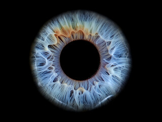 Detailed Macro of Light Blue Human Iris