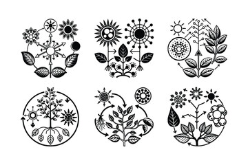 Photosynthesis Overview Light Water CO₂ to Glucose and Oxygen