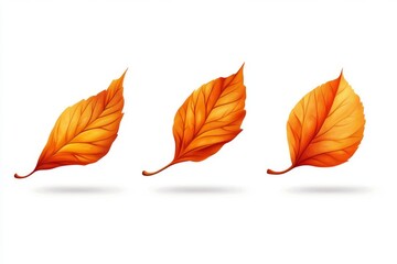 Naklejka premium Three vibrant autumn leaves against a white background. Detailed illustration of falling leaves