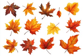 Fototapeta premium Autumn leaves collection