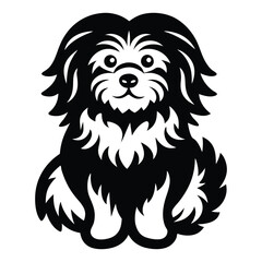 Havanese dog black silhouette vector isolated on white background, Cartoon Havanese dog with fluffy coat silhouette