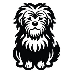 Havanese dog black silhouette vector isolated on white background, Cartoon Havanese dog with fluffy coat silhouette