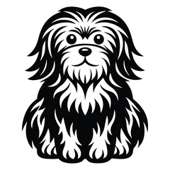 Havanese dog black silhouette vector isolated on white background, Cartoon Havanese dog with fluffy coat silhouette