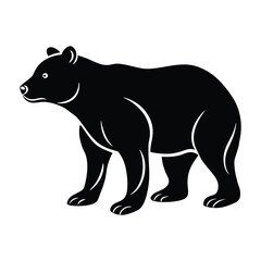 vector illustration of a bear