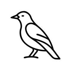Fototapeta premium bird facing right transparent background for web and graphic design