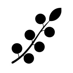 branch with round leaves silhouette transparent background for web and graphic design