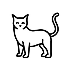 cat standing transparent background for web and graphic design