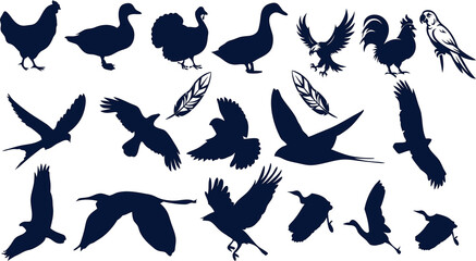 Flat style bird vector set: diverse flying & perched birds on a white background. Wildlife vector illustration pack, avian collection, animal clipart bundle, digital bird art. © Muhammad