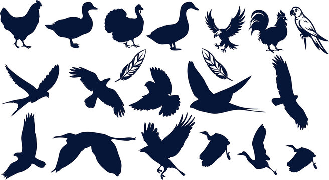 Flat style bird vector set: diverse flying & perched birds on a white background. Wildlife vector illustration pack, avian collection, animal clipart bundle, digital bird art.