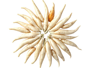 Obraz premium Organic White Carrot in Healthy Natural Form