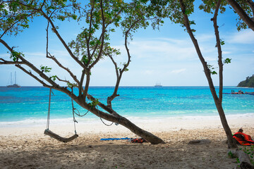 beautiful white sand beach on koh rok island thailand. kochelya on tree. crystal clear water