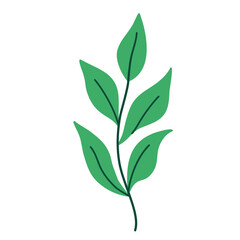 Leaf vector colorful on transparent background