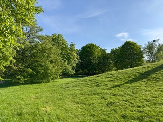 Sunny Park Landscape with Green Trees and Grass © Viktoria