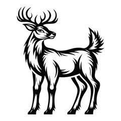 Black and White Stag, Standing Deer with Antlers, Isolated Animal Silhouette Wildlife