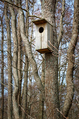 An empty wooden birdhouse is hanging on a tree in the forest.