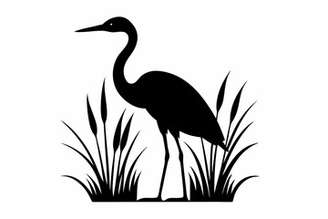 Black heron silhouette standing in a marsh with tall grass