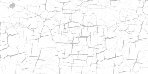 White Cracked Surface Texture. Grunge Abstract Background for Design and Restoration Project