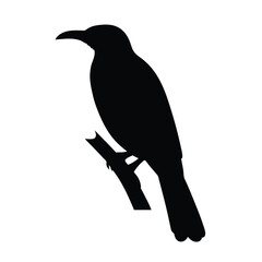 Obraz premium Black Silhouette of a Bird Resting on a Branch in Profile View