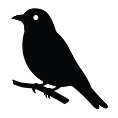 Black Silhouette of a Bird Perched on a Branch with White Background