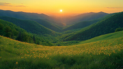 Vibrant Sunset Over Rolling Hills and Yellow Flower Fields
