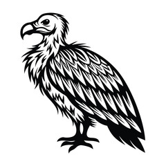 Striking Vulture Silhouette, Black Detailed Feathers, Wildlife Bird, Isolated, Profile