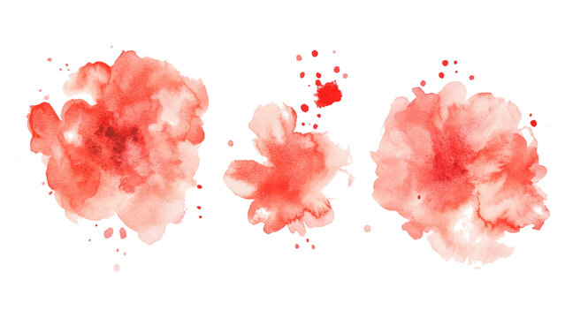 Splash brush red watercolor isolated on white background. Set of watercolor circles red, Colors watercolor paint stains vector backgrounds.