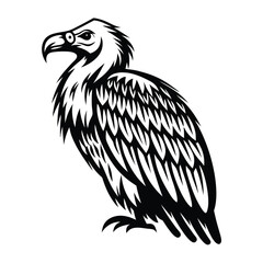 Striking Vulture Detailed Feathers, Bold Black Silhouette, and Sharp Eye