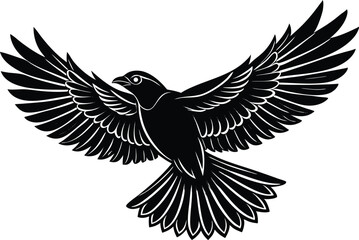 Obraz premium Flying Bird With Wings Spread Silhouette