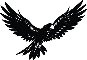 Obraz premium Parrot Silhouette Flying