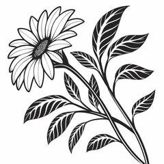 black and white flowers