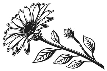 Black and White Outlined Flower with Stem, Leaves and Bud; Floral Design