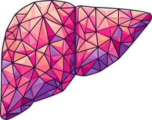 Polygonal liver illustration, vibrant geometric design in pink and purple tones, representing health
